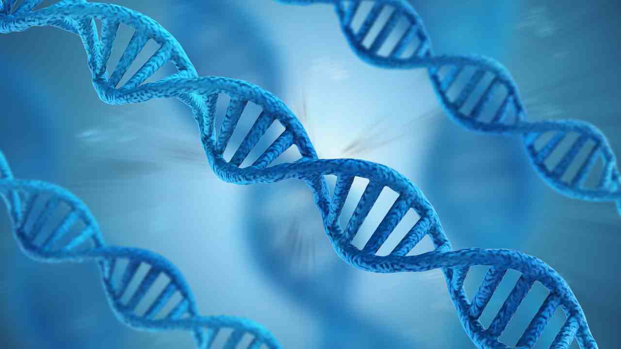 Genetics and Melanoma Who is at Risk
