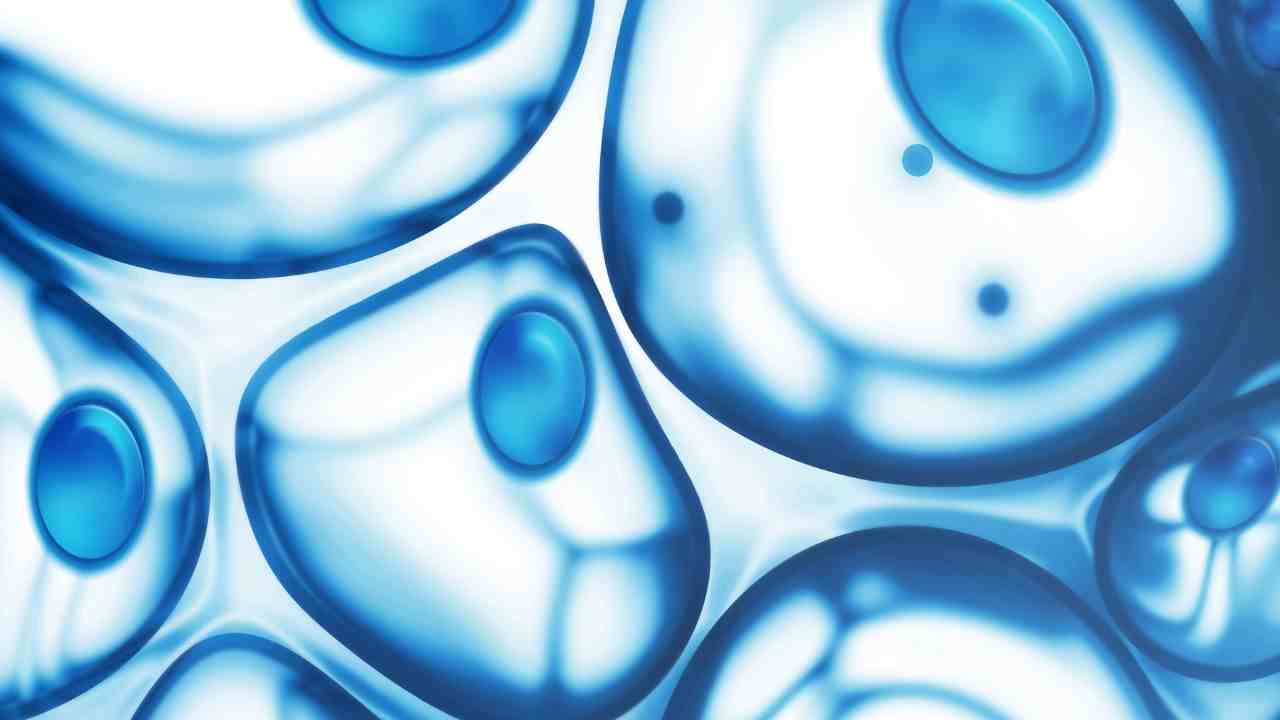 eribulin halaven for breast cancer a third line treatment option